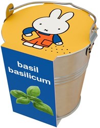 Nijntje toy zinc bucket with basil herb for children