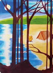 Kapitein Kalk card set campfire - artistic chalkboard cards