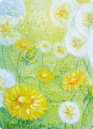 Kapitein Kalk card artwork chalkboard set of 5 greeting cards