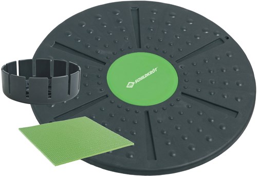Schildkröt balance board fitness toy for balance and coordination