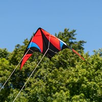Schildkröt stunt kite 140 ripstop polyester for kids from 10 years old-2