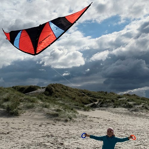 Schildkröt stunt kite 140 ripstop polyester for kids from 10 years old-3