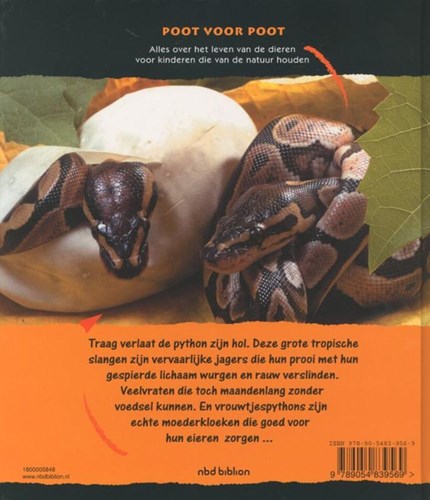 Harlekijn children's book pythons nature animal kingdom educational 8+-2