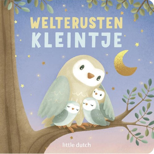 Book Little Dutch bedtime story Goodnight Little One for children