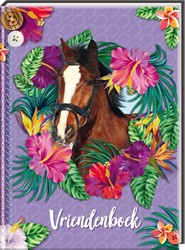 Image Books Friends Book Horses. 4+