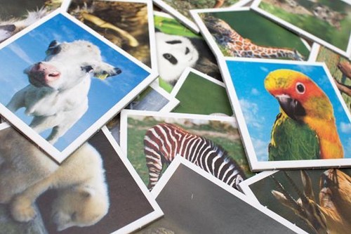 Tactic Animal Babies memory game - educational card game for kids-2