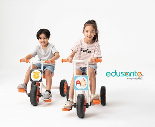 Eduplay educational game vehicle plates - role play cardboard-3