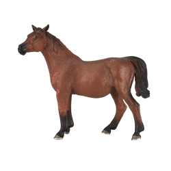 Mojo Horses