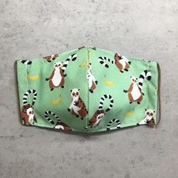 Mouth masks