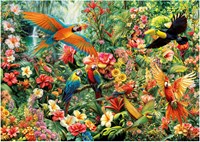 Educa jigsaw puzzle Amazon birds - 2000 pieces puzzle adults