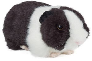 Cuddly toy guinea pig discount