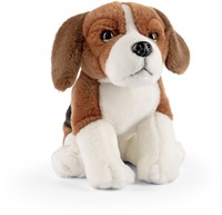 Living with a beagle new arrivals