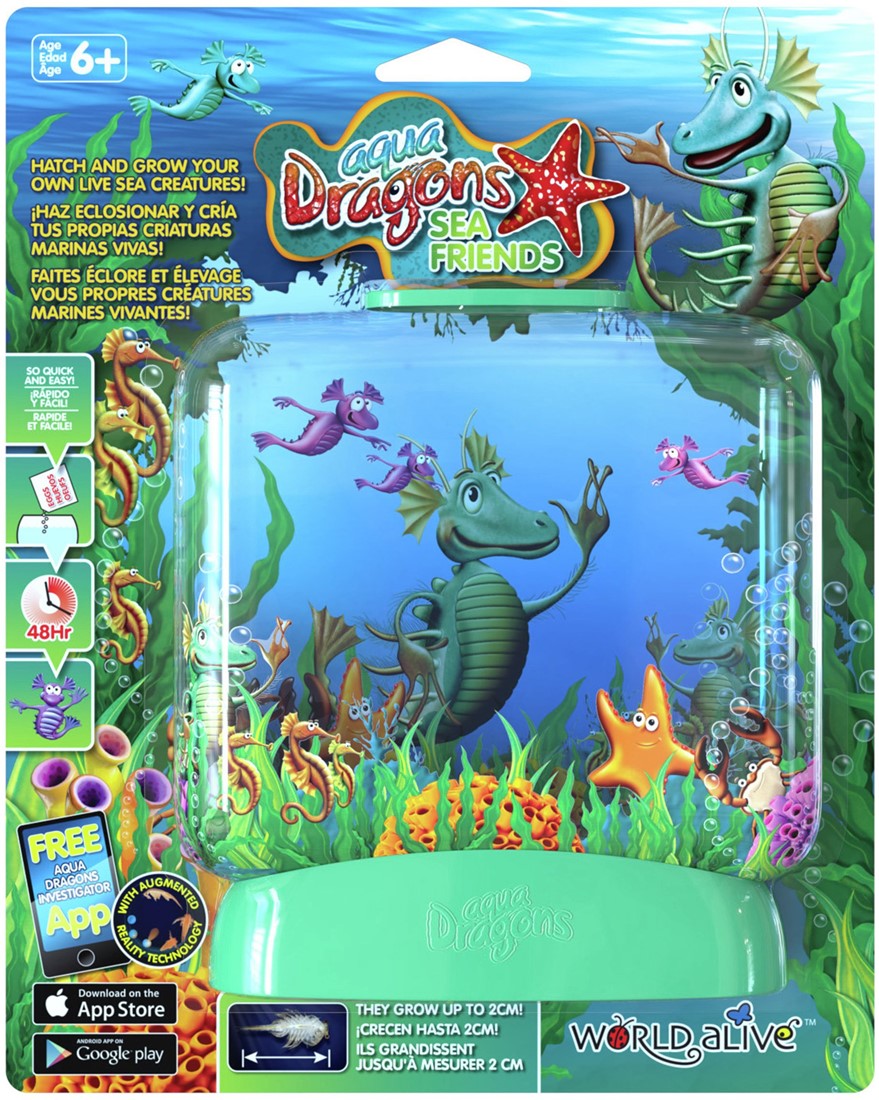 Aqua Dragons Co To Za Gatunek Aqua Dragons® Underwater world