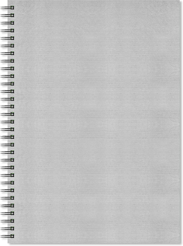 Artgecko Artgecko Flashy Spiraal Schetsboek A3 Portret 150 gr 40 vel Zilveren Omslag