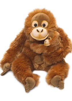 WWF