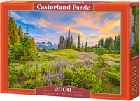 Castorland Puzzle Blossoms of Morning - 2000 Pieces Jigsaw-2