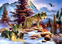 Bluebird Puzzle jigsaw puzzle A New Dawn - 1000 pieces animals fantasy