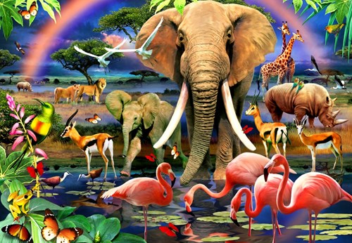 Bluebird Puzzle animal puzzle African Savannah - 1000 pieces