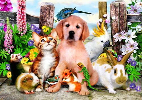 Bluebird Puzzle jigsaw Good Companions - 204 pieces colorful toy