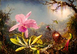 Bluebird Puzzle art jigsaw Martin Johnson Heade orchid hummingbirds 1000 pieces