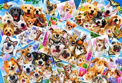 Bluebird Puzzle jigsaw puzzle Selfie Pet Collage - 300 pieces