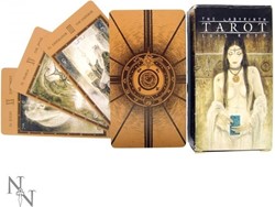 FOURNIER The Labyrinth Tarot (Luis Royo)