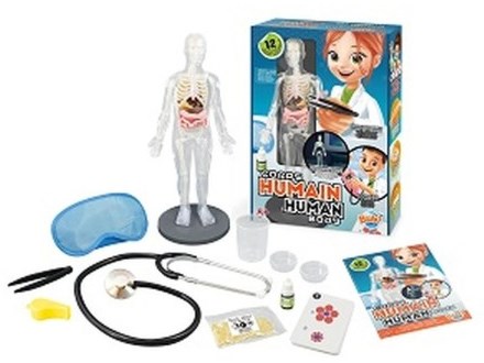 Buki human body educational toy anatomy experiment kit