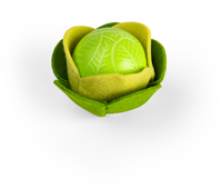 BigJigs toys wooden cabbage vegetable set - educational toy