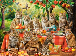 Castorland puzzle cat family reunion - 3000 pieces jigsaw