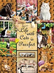 SunsOut puzzle cats jigsaw 1000 pieces colorful toy