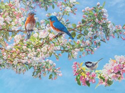 Cobble Hill jigsaw puzzle Blossom Festival - 275 pieces of puzzle fun