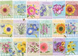 Cobble Hill jigsaw puzzle Seed Packets - 500 pieces colorful fun