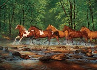 Cobble Hill jigsaw puzzle Spring Creek Run - 1000 pieces of fun