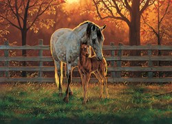 Cobble Hill jigsaw XXL Quiet Time 500 pieces nature puzzle