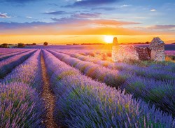 Nathan puzzle French regions lavender route Valensole 500 pieces