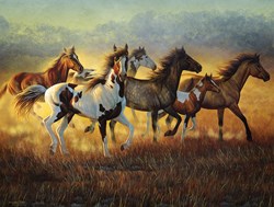 SunsOut puzzle Cynthia Fisher - Running with the Wind - 500 pieces landscape