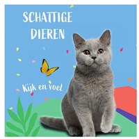 Touch-and-feel kitten baby book with textures for sensory play