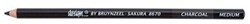 Bruynzeel charcoal pencil medium creative drawing children