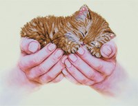 Diamond Dotz Diamond Dotz - Precious Kitten