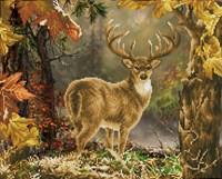 Diamond Dotz Diamond Dotz - Prince Of The Forest