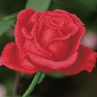 Diamond Dotz Diamond Dotz - Rose Bud With Frame