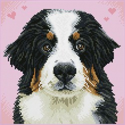 Diamond Dotz Diamond Painting Dog Zuzu - 29x29 cm - 11,664 dots