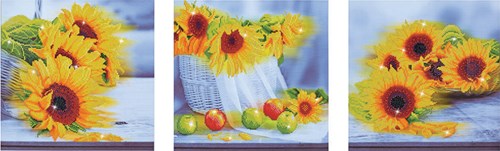 Diamond Dotz Diamond Dotz - Sunflower Days