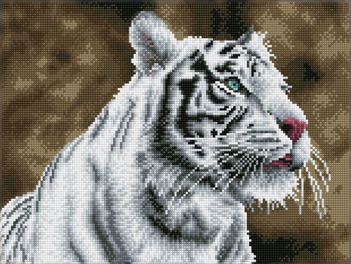 Diamond Dotz Diamond Dotz - Tigre Blanc - Pre-Framed Kit