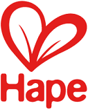 Everything from Hape