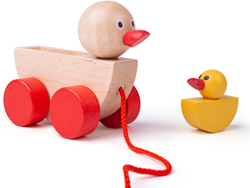 Bigjigs Duck and Duckling