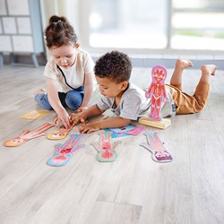 Hape magnetic puzzle human body educational toy for kids