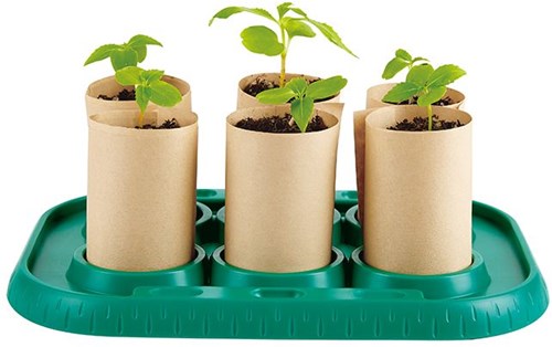 Hape greenhouse toy - Growing Gardners Greenhouse gardening set-2