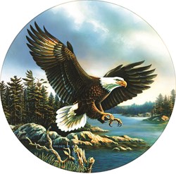 SunsOut puzzle eagle landing - 500 pieces puzzle
