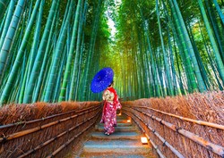 Enjoy Puzzle Asian Woman in Bamboo Forest - 1000 Teile